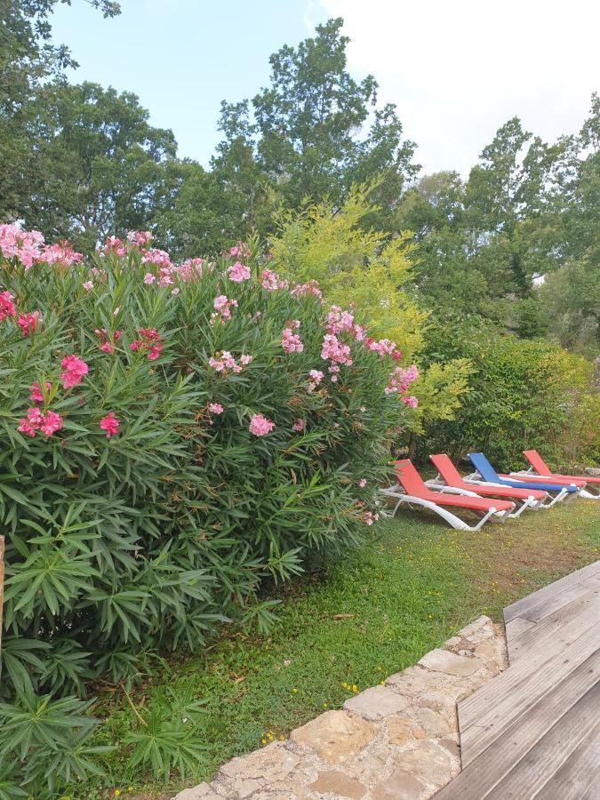 B&B L'Albatros Fayence Esterno foto