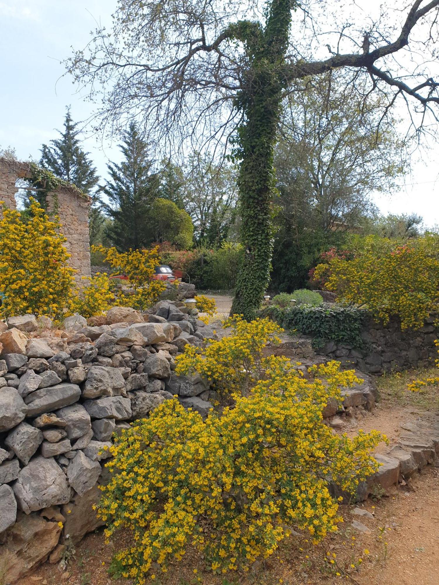 B&B L'Albatros Fayence Esterno foto